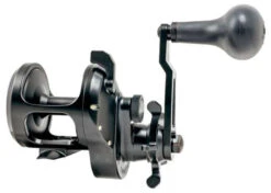 Accurate Ascender Star Drag Conventional Reels
