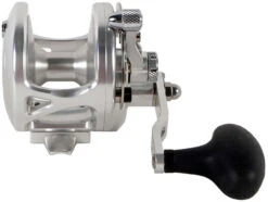 Avet JX G2 6.0 SF Cam-SI Lever Drag Conventional Reel W/ South Florida Cam 5 Avet JX G2 6.0 SF Cam-SI Lever Drag Conventional Reel W/ South Florida Cam -Fishing Tackle Sale avet jx g2 60 sf cam si lever drag casting reel 40617.1697294090