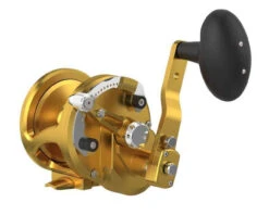 Avet JX Raptor Plus Lever Drag Conventional Reels -Fishing Tackle Sale avet jx raptor plus lever drag conventional reels 54534.1715098499