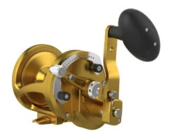 Avet LX Raptor Plus Lever Drag Conventional Reels 9 Avet LX Raptor Plus Lever Drag Conventional Reels -Fishing Tackle Sale avet lx raptor plus lever drag conventional reels 42589.1715098547