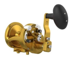 Avet MXL Raptor Plus Lever Drag Conventional Reels -Fishing Tackle Sale avet mxl raptor plus lever drag conventional reels 45917.1715098633
