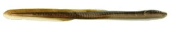 Berkley Gulp! Saltwater Eel 5 Berkley Gulp! Saltwater Eel -Fishing Tackle Sale berkley gse10 gulp saltwater eel 10in 76878.1696919038