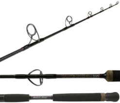 Black Hole Cape Cod Special Jigging Rods - Spinning