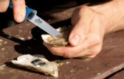 Cuda 18182 3.5" Titanium Bonded Shucking Knife with Non-Slip Grip 5 Cuda 18182 3.5" Titanium Bonded Shucking Knife with Non-Slip Grip -Fishing Tackle Sale cuda 18182 3 5in titanium bonded shucking knife 79859.1696906220