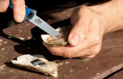 Cuda 18182 3.5" Titanium Bonded Shucking Knife with Non-Slip Grip 3 Cuda 18182 3.5" Titanium Bonded Shucking Knife with Non-Slip Grip - Image 3