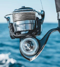 Daiwa Certate SW Spinning Reels -Fishing Tackle Sale daiwa certate sw spinning reels 83148.1697171125