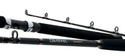 Daiwa Seagate Boat Rods