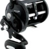 Daiwa SLW60H Sealine Levelwind Reel