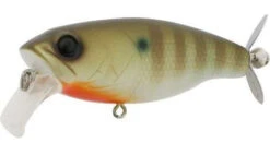 Deps Buzzjet Jr Lure