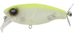 Deps Buzzjet Jr Lure -Fishing Tackle Sale deps buzzjet jr lure 71546.1696814899