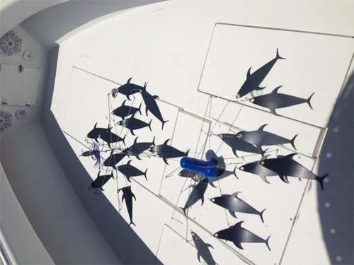 Fish Razr Double Bar Standard Dredge 2 Fish Razr Double Bar Standard Dredge - Image 2