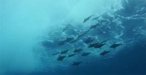 Fish Razr Double Bar Standard Dredge 3 Fish Razr Double Bar Standard Dredge - Image 3