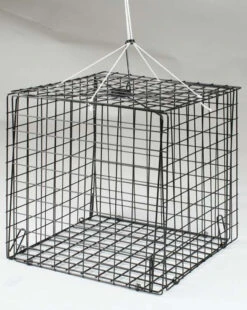 FJ Neil Assorted Shape Traps