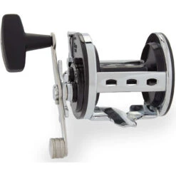 Penn Jigmaster Star Drag Conventional Reel -Fishing Tackle Sale genpurreel 78453.1696910842
