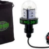 Hydro Glow Deep Water LED Fish Light - Green Globe Style