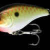 Jackall Aska Crankbait