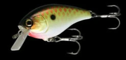 Jackall Aska Crankbait