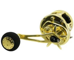 Jigging World Eros Star Drag Conventional Reels -Fishing Tackle Sale jigging world eros star drag conventional reels 66591.1697306559