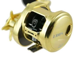 Jigging World Eros Star Drag Conventional Reels -Fishing Tackle Sale jigging world eros star drag conventional reels 78057.1697306559