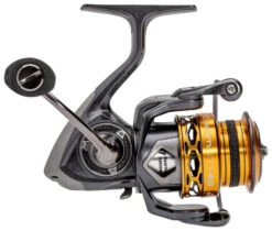 Lews Custom Lite SS Spinning Reel
