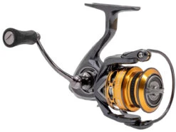 Lews Custom Lite SS Spinning Reel 7 Lews Custom Lite SS Spinning Reel -Fishing Tackle Sale lews clss200 custom lite ss spinning reel 50197.1711126868