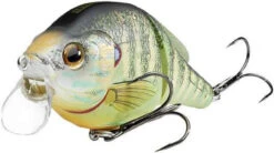 LIVETARGET Lures Pumkinseed Wakebait