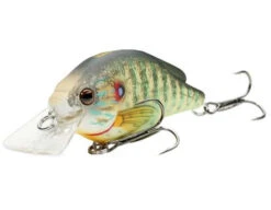 LIVETARGET Lures Pumpkinseed Squarebill