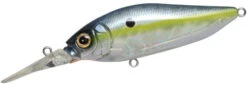 Megabass Diving Flap Slap -Fishing Tackle Sale megabass diving flapslap 04049.1696828402