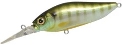 Megabass Diving Flap Slap -Fishing Tackle Sale megabass diving flapslap 54917.1696828401