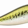 Megabass PopX Top Water Popper