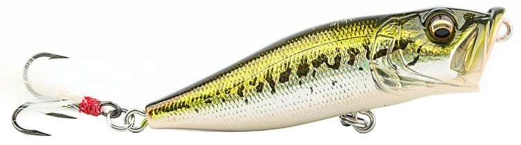 Megabass PopX Top Water Popper 1 Megabass PopX Top Water Popper