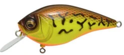 Megabass Knuckle LD Crankbait