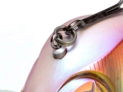 Megabass Knuckle LD Crankbait 9 Megabass Knuckle LD Crankbait -Fishing Tackle Sale megabass the knuckle ld lure 90327.1696828774