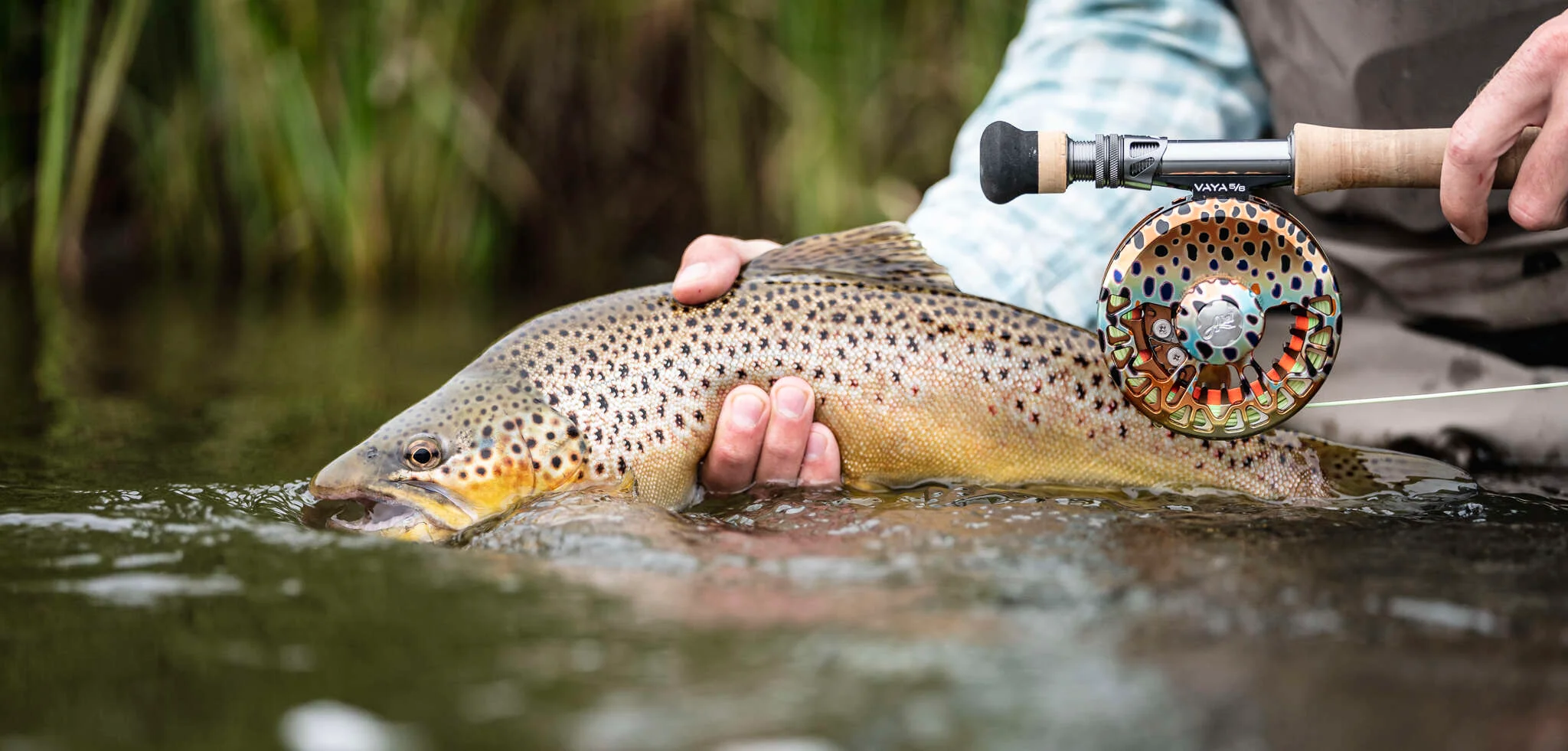 Fishing Tackle Sale -Fishing Tackle Sale mjp montana 200827 8321