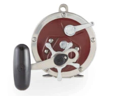 Penn Special Senator H2 Star Drag Conventional Reels -Fishing Tackle Sale penn special senator h2 reels 13547.1723480269
