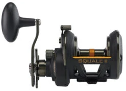 Penn Squall II Star Drag Conventional Reels 9 Penn Squall II Star Drag Conventional Reels -Fishing Tackle Sale penn squall ii star drag reels 14921.1697116159