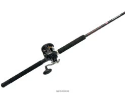 Penn Warfare Level Wind Combos -Fishing Tackle Sale penn warfare level wind combos 78579.1696800399