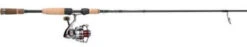 Pflueger President XT / Fenwick HMX Spinning Combo