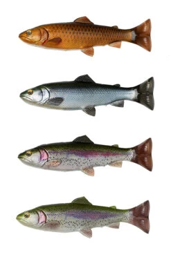 Savage Gear 4D Splitfin Pulse Tail Trout Lures -Fishing Tackle Sale savage gear 4d splitfin pulse tail trouts 22015.1696985022