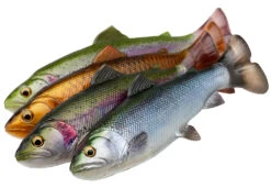 Savage Gear 4D Splitfin Pulse Tail Trout Lures -Fishing Tackle Sale savage gear 4d splitfin pulse tail trouts 48515.1696985022