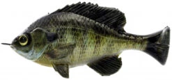 Savage Gear Pulse Tail Bluegill LB Swimbaits