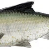 Savage Gear Pulse Tail Shiner LT Swimbaits