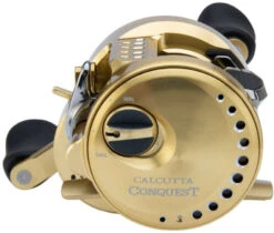 Shimano Calcutta Conquest 100 & 200 A Baitcasting Reels -Fishing Tackle Sale shimano calcutta conquest 100 200 baitcasting reels 80607.1697167596