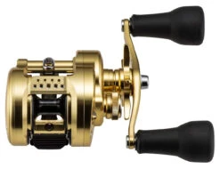 Shimano Calcutta Conquest MD Baitcasting Reels 9 Shimano Calcutta Conquest MD Baitcasting Reels -Fishing Tackle Sale shimano calcutta conquest md baitcasting reels 70495.1697343751