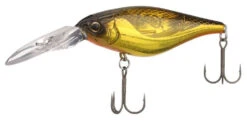 Shimano Enber 60SP Jerkbait - Black/Gold 13 Shimano Enber 60SP Jerkbait - Black/Gold -Fishing Tackle Sale shimano enb60spkg enber 60sp jerkbait 91559.1697349382