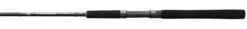 Shimano Teramar Northeast Spinning Rods -Fishing Tackle Sale shimano teramar inshore northeast spinning rods 76847.1731447067