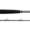 Shimano Terez BW Swordfish Rods