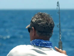 Shimano Terez Spinning Rods -Fishing Tackle Sale shimano terez spinning fishing rods 84463.1696843888