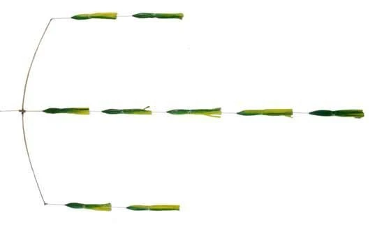 Sportfish Products 36in Spreader Bar With 9 - 9in Squid 1 Sportfish Products 36in Spreader Bar With 9 - 9in Squid