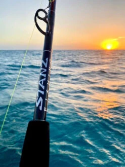 STANZ Fishing Kite Conventional Rods